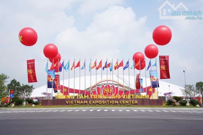 SIÊU HIẾM-BÁN ĐẤT MAI LÂM, ĐÔNG ANH-44M2-5,X TỶ-Ô TÔ TRÁNH, HÀNG XÓM VINHOMES - 4