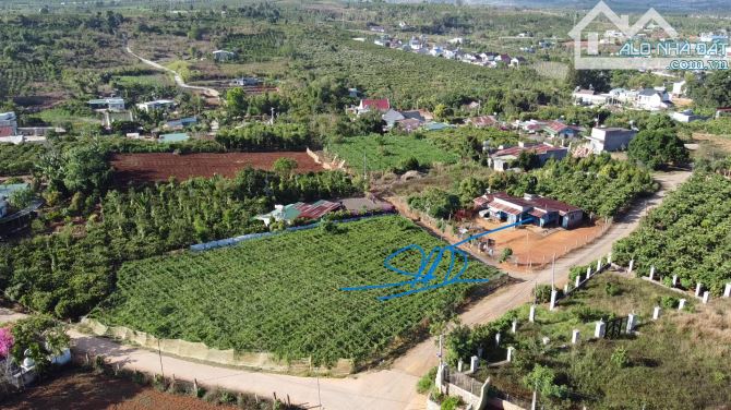 🏡 BÁN LÔ ĐẤT TẶNG NHÀ GỖ – VỀ Ở NGAY 🏡 chỉ hơn 1 tỷ - 4