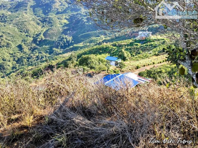 🌿 BÁN KHU NGHỈ DƯỠNG VIEW MÂY – NINH LOAN, LÂM ĐỒNG 🌿 - 4