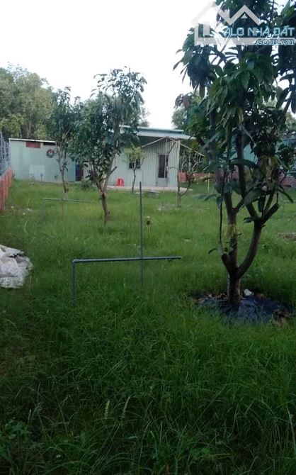 Lô đất Vũng Tàu rộng 548m2, Cách vòng xoay QL51 và Đường ven biển chỉ 500m. - 4