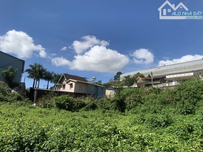 Bán Đất Mặt Tiền Đường Ankoret, Phường 7, Đà Lạt – Vị Trí Đẹp, Tiềm Năng Sinh Lời Cao - 5