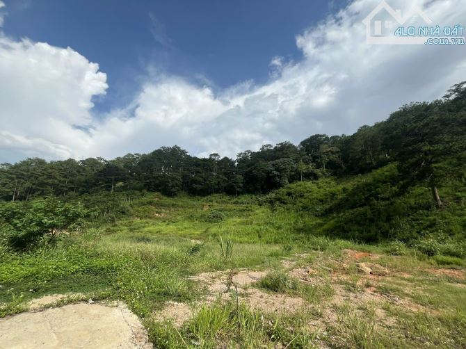 Đèo Frenn Đà Lạt - Đất view chuyển được thổ cư - Hiệp An - 1000m2 - 6 tỷ - 5