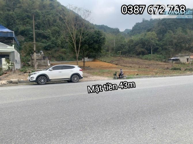 Bán lô đất Mặt đường HCM siêu rộng 43m giá chỉ hơn 8tr/m - 5