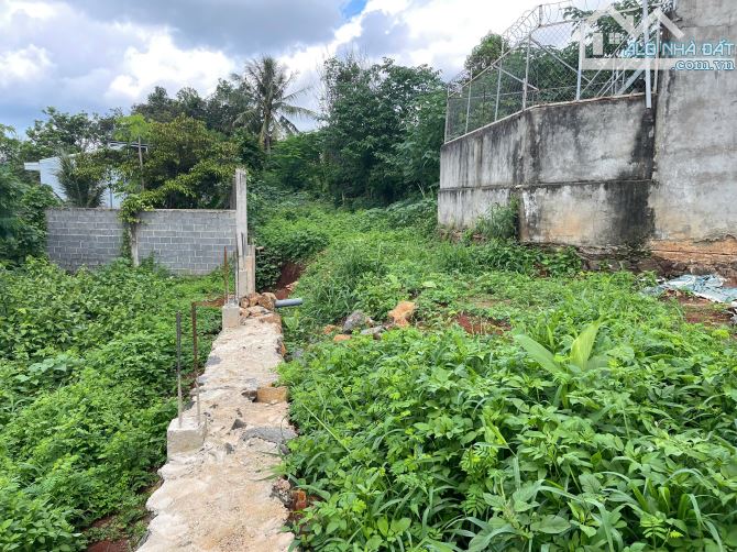 💥Đất Nhà Vườn Tổng 541m2,mặt chính 10m,hẻm Amakhe nhiều lô khác - 5