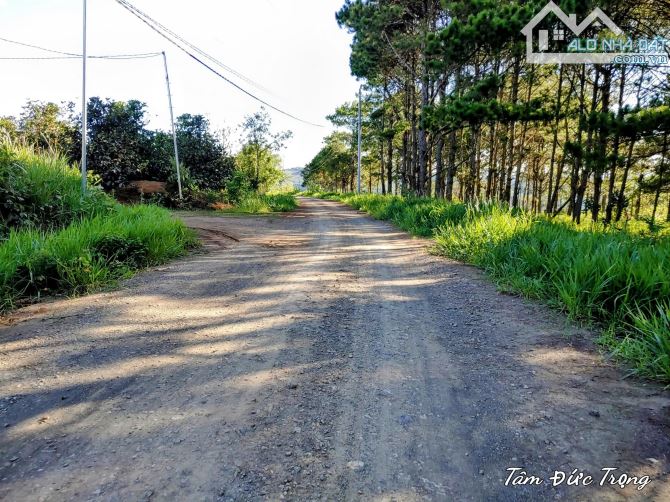 🌿 BÁN KHU NGHỈ DƯỠNG VIEW MÂY – NINH LOAN, LÂM ĐỒNG 🌿 - 5