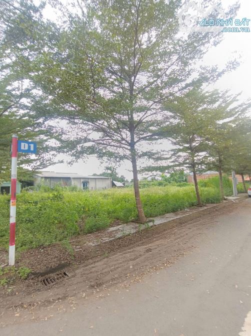 ĐẤT NỀN ĐẸP NGAY TRUNG TÂM PHƯỜNG TÂN TRIỀU MỚI - 6