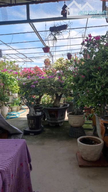 Bán nhà 1 lầu mặt tiền trần quang diệu, đường nhựa trung tâm phan thiết chỉ 3ty6 - 6