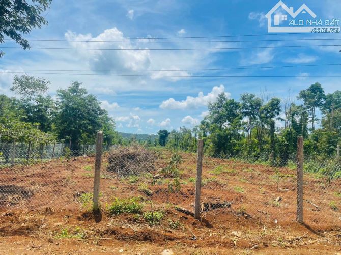2,1 sào đất km18 Vành đai thông Quốc Lộ 26 qua QL14 kinh doanh tốt 2,5 Tỷ - 7