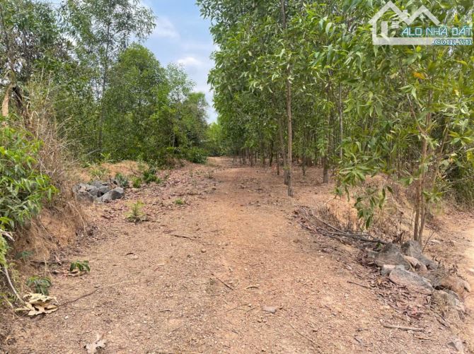 Bán lô đất gần 14000m2 tại Bình Minh, Trảng Bom, Đồng Nai, giá chỉ 10 tỷ 400. - 7