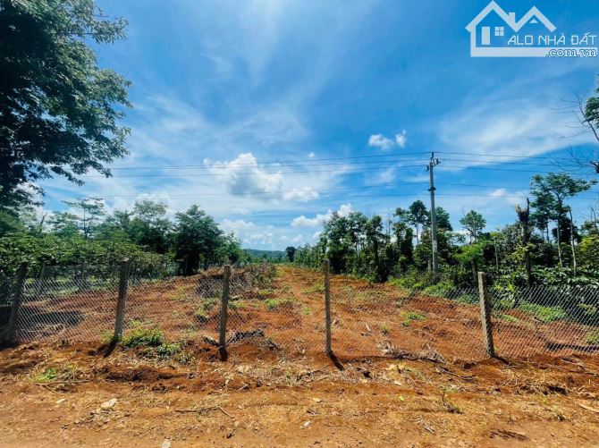 2,1 sào đất km18 Vành đai thông Quốc Lộ 26 qua QL14 kinh doanh tốt 2,5 Tỷ - 8