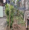 72m² FULL THỔ CƯ – Ô TÔ 4 CHỖ VÀO TẬN ĐẤT – GẦN TRỤC CHÍNH GIA LÂM – CHỈ 3,35 TỶ