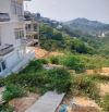 BÁN ĐẤT HẺM Ô TÔ LỚN – HOÀNG HOA THÁM, P.10, ĐÀ LẠT 9.5 tỷ 291m2 264m2 thổ cư