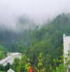BÁN ĐẤT XÂY BIỆT THỰ VIEW RỪNG THÔNG ĐƯỜNG HOÀNG HOA THÁM