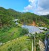 ĐẤT VIEW THÔNG XANH VĨNH VIỄN LỢI HẦM ĐƯỜNG Ô TÔ LỚN HOÀNG HOA THÁM