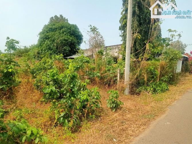 🌟 Đất Láng Dài 500m², gần sân bay, giá 3,7 tỷ, tương lai cao tốc 🌈