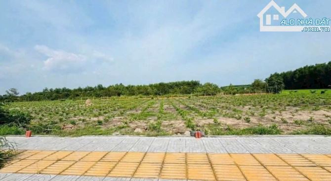 🏡 Siêu Đẹp 1 Mẫu Đất Đối Diện Khu Công Nghiệp Đất Đỏ, 11.410m², Giá 30 Tỷ - 2