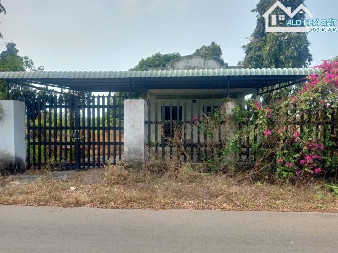 🌟 Đất Láng Dài 500m², gần sân bay, giá 3,7 tỷ, tương lai cao tốc 🌈 - 2