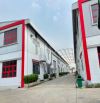 Ch thuê kho xưởng Đường số 1, KCN Thuận Đạo, thị trấn Bến Lức, huyện Bến Lức, tỉnh Long An