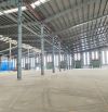 Cho thuê kho xưởng Đường số 6, KCN Long Hậu, xã Long Hậu, huyện Cần Giuộc, tỉnh Long An