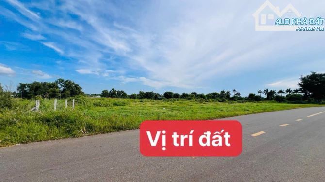 Đất View Suối, Mặt Hồ Lồ Ô, Long Tân, Đất Đỏ – Giá Siêu Rẻ 11 Tỷ 💥🌊