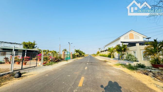 🏡 Bán Đất Láng Dài 243m², Thổ Cư 100m², Cách Chợ 3km - Đất Đỏ, BRVT 🌳 - 1