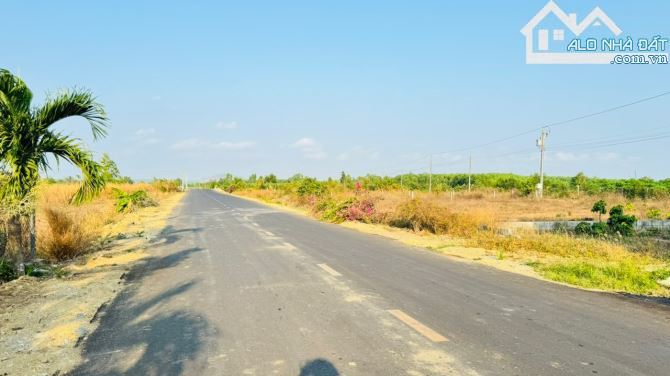 🏡 Bán Đất Láng Dài 243m², Thổ Cư 100m², Cách Chợ 3km - Đất Đỏ, BRVT 🌳 - 2