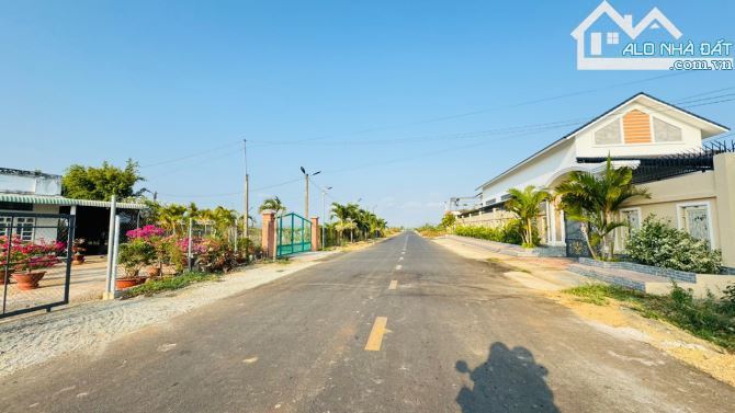 🏡 Bán Đất Láng Dài 243m², Thổ Cư 100m², Cách Chợ 3km - Đất Đỏ, BRVT 🌳 - 3
