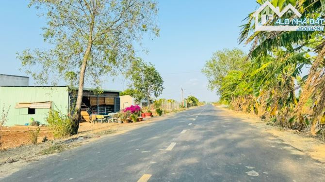 🏡 Bán Đất Láng Dài 243m², Thổ Cư 100m², Cách Chợ 3km - Đất Đỏ, BRVT 🌳 - 4