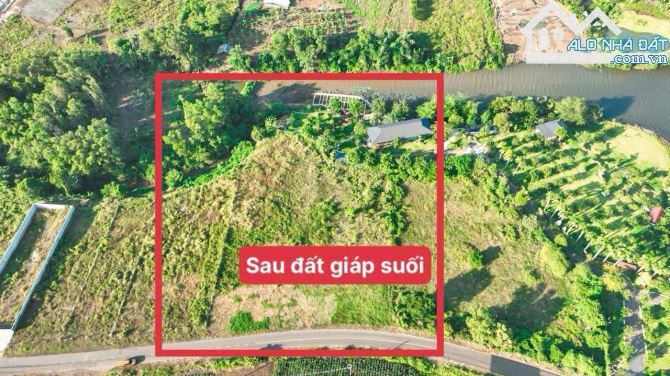 Đất View Suối, Mặt Hồ Lồ Ô, Long Tân, Đất Đỏ – Giá Siêu Rẻ 11 Tỷ 💥🌊 - 5