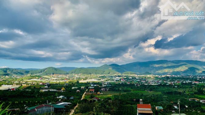 ĐẤT RỘNG 520M2 SÁT RỪNG THÔNG, VIEW THUNG LŨNG CỰC ĐẸP