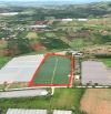 BÁN SIÊU PHẨM 13.000M2 VIEW ĐẸP 2 MẶT TIỀN TẠI PHƯỜNG CAM LY – ĐÀ LẠT, GIÁ CHỈ 2.5 TRIỆU/M