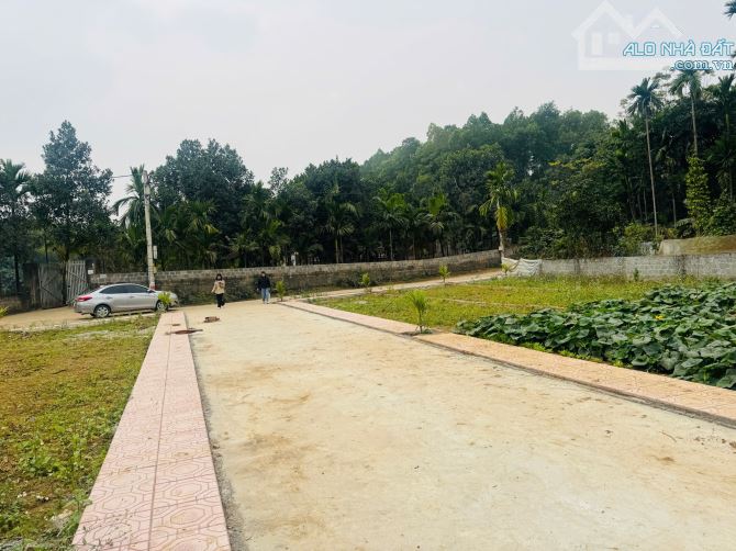 tôi cần bán đất Mỹ Đức, Hà Nội. Giá đầu tư chỉ hơn 1 tỷ. Diện tích 85m2 full thổ cư.