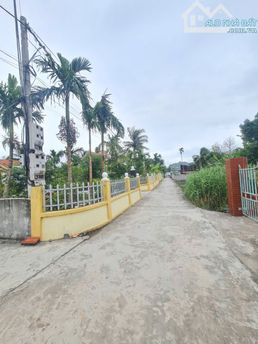 Mở bán 7 lô F0 tại Tân Phong, Kiến Thuỵ ngõ oto - 3