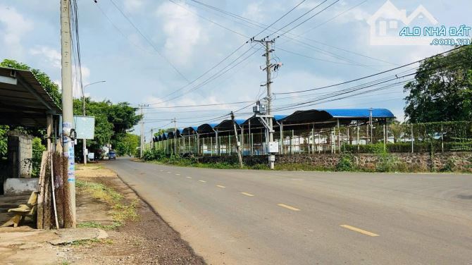 🏡 ĐẤT MẶT TIỀN ĐƯỜNG NHỰA LONG TÂN – LÁNG DÀI, HUYỆN ĐẤT ĐỎ, BRVT - 4