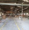 Cho thuê xưởng 7000m² khu công nghiệp bến cát bình dương có pccc tự động, điện 1000kva