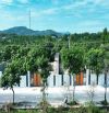 TỔNG HỢP 10 LÔ ĐẸP RẺ 2 TỶ - 3 TỶ GẦN BIỂN PHƯỚC HẢI - 500M2 - 1000M2 ĐẦU TƯ TỐT
