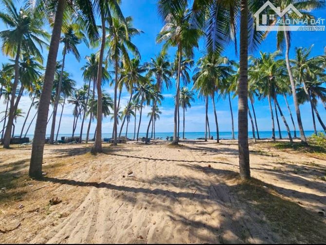 Bán 1.8ha thổ cư mặt tiền biển Huỳnh Thúc Kháng, Hàm Tiến khu phố Tây giá tốt nhất