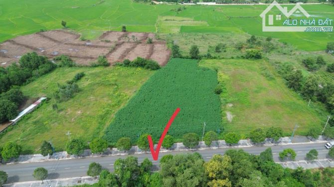 Chủ gủi bán lô góc 55m mặt tiền Tỉnh Lộ 52 xã Đất Đỏ - TP HCM. Dt: 4711m2 (55x118) hướng Đ