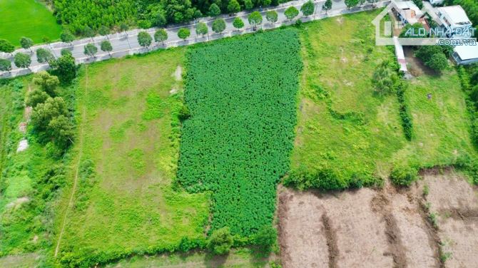 Chủ gủi bán lô góc 55m mặt tiền Tỉnh Lộ 52 xã Đất Đỏ - TP HCM. Dt: 4711m2 (55x118) hướng Đ - 3