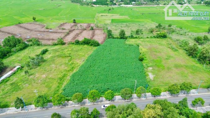 Chủ gủi bán lô góc 55m mặt tiền Tỉnh Lộ 52 xã Đất Đỏ - TP HCM. Dt: 4711m2 (55x118) hướng Đ - 7