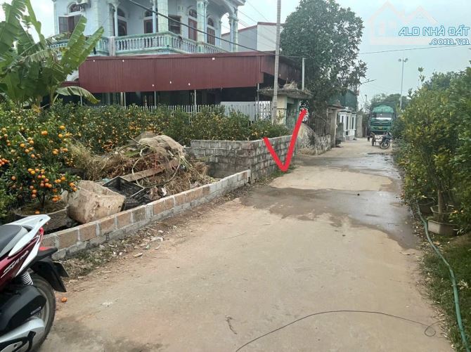 105,9m2 ô tô đỗ cửa view Hồ mát mẻ ở Bá Khê - Văn Giang kết nối đường 205, Sân vận động… - 1