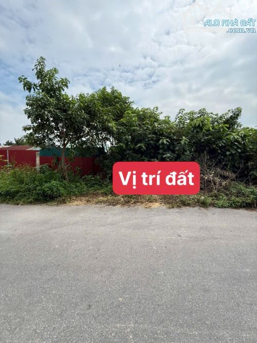 ĐẤT NÔNG NGHIỆP ĐẸP KHÔNG TỲ VẾT - 3