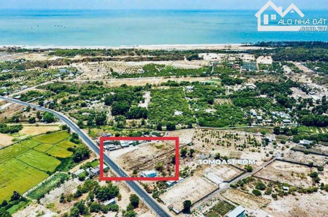 🌊 Bán Đất Mặt Tiền Đường Nguyễn Tất Thành – Ven Biển Phước Hội, Đất Đỏ 🌴 - 1