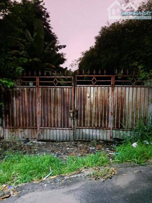 Bán 300m² đất Đông Hòa,SHR đường nhựa 2 ô tô thông,gần BigC Go Dĩ An - 3