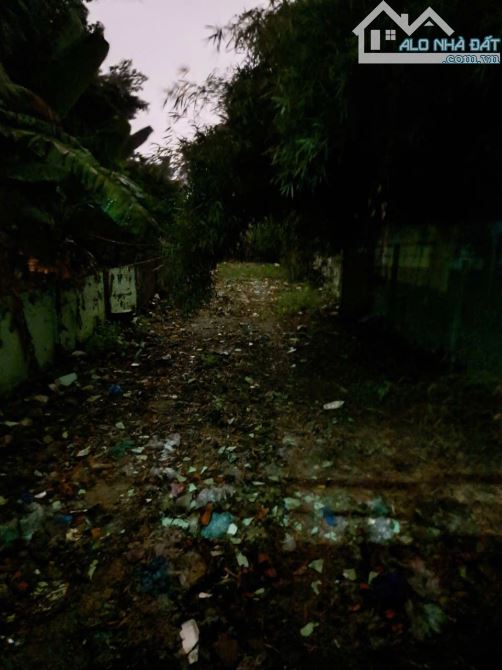 Bán 300m² đất Đông Hòa,SHR đường nhựa 2 ô tô thông,gần BigC Go Dĩ An - 4