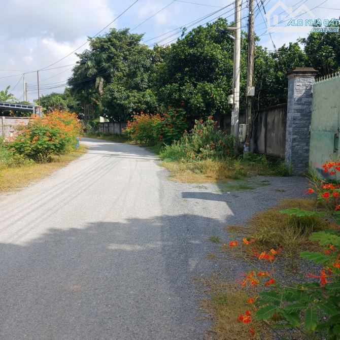 Bán đất 9x35m, mặt tiền đường Thường Tân 18 h. Bắc Tân Uuyên - 5