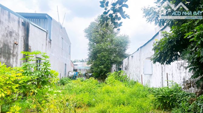 D369 Bán đất biệt thự 343m2 Ngang 9m Trung Tâm Phườnh Tân Biên - ( Long Bình Mới ) - 1