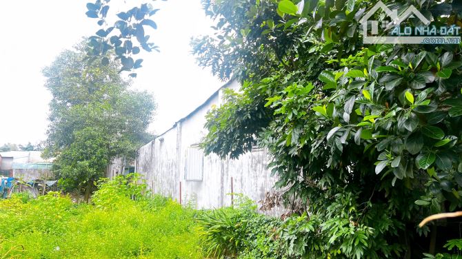 D369 Bán đất biệt thự 343m2 Ngang 9m Trung Tâm Phườnh Tân Biên - ( Long Bình Mới ) - 2