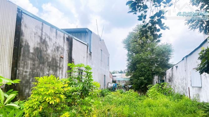 D369 Bán đất biệt thự 343m2 Ngang 9m Trung Tâm Phườnh Tân Biên - ( Long Bình Mới ) - 3