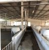 Bán Đất (Trại Heo) 2500m2 Xã Đông Hòa, H. Trảng Bom Chỉ 3,6 Tỷ